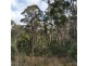 Lot 2909277 Gordon River Road, National Park TAS 7140