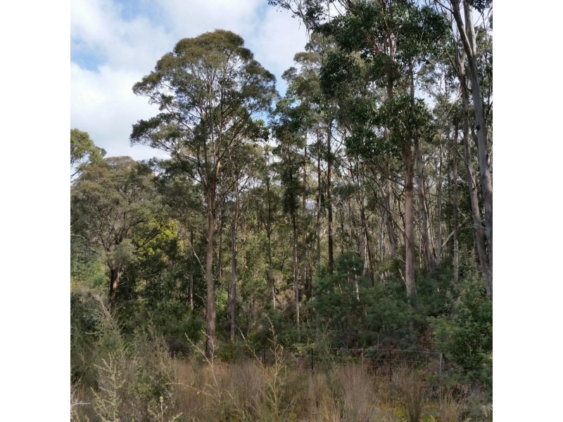 Lot 2909277 Gordon River Road, National Park TAS 7140