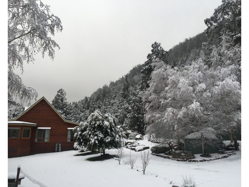 386 White Timber Road, Lachlan TAS 7140