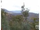 181 Williams Lane, Dysart TAS 7030
