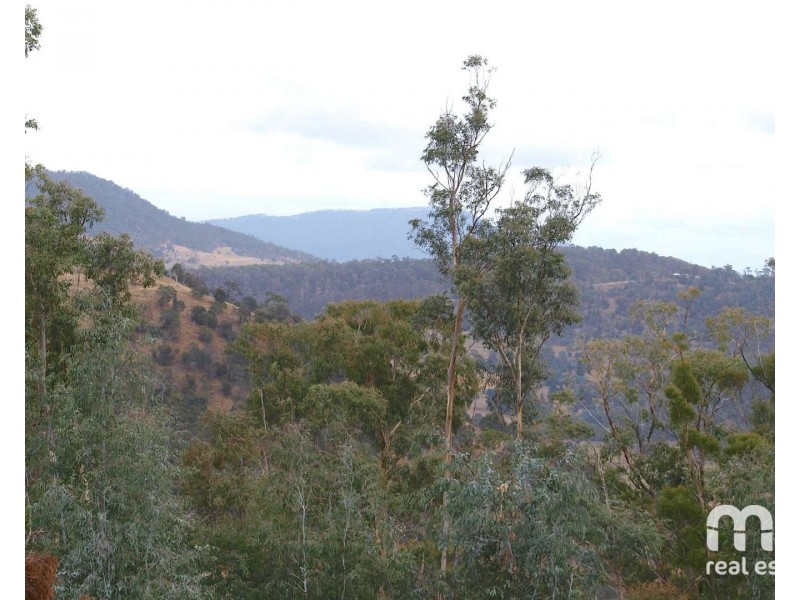 181 Williams Lane, Dysart TAS 7030