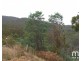 181 Williams Lane, Dysart TAS 7030