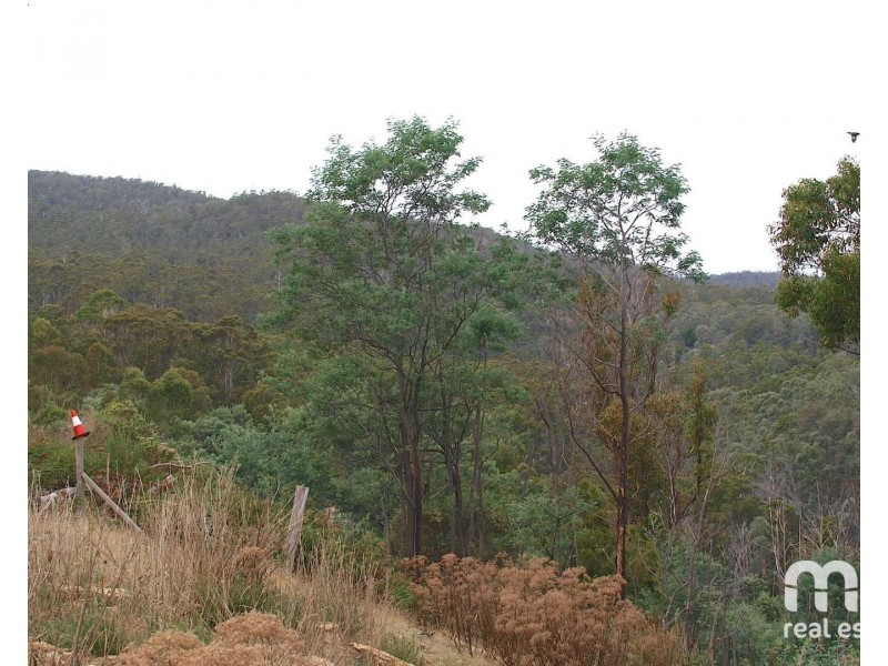 181 Williams Lane, Dysart TAS 7030