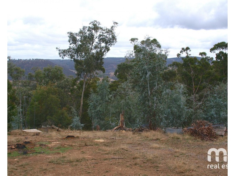 181 Williams Lane, Dysart TAS 7030