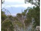 181 Williams Lane, Dysart TAS 7030