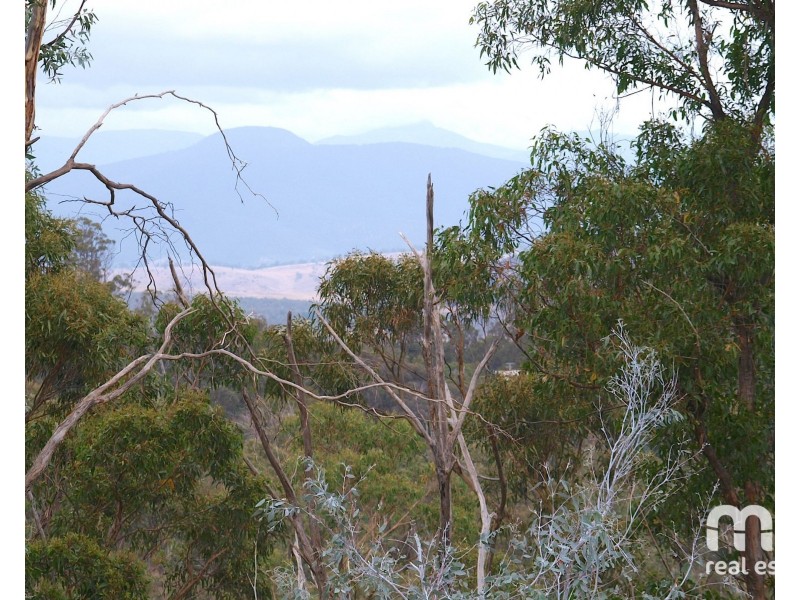 181 Williams Lane, Dysart TAS 7030