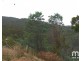 181 Williams Lane, Dysart TAS 7030