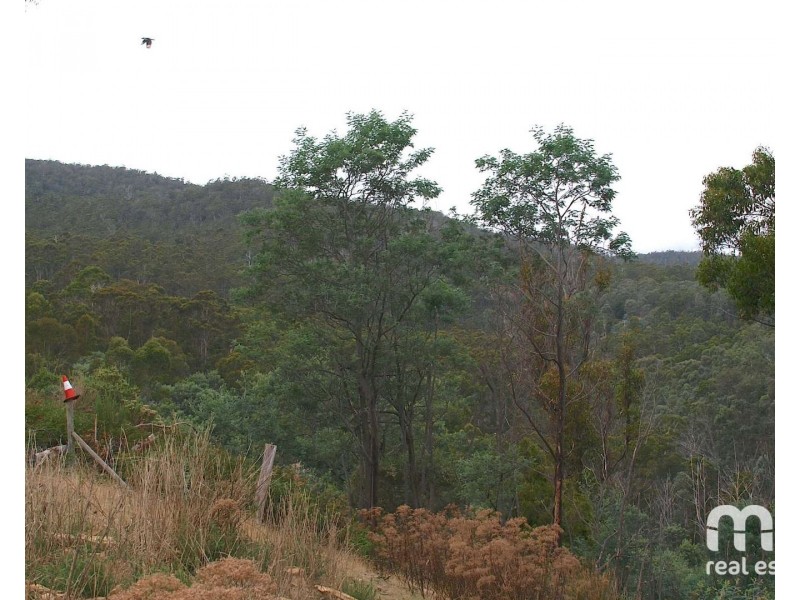 181 Williams Lane, Dysart TAS 7030