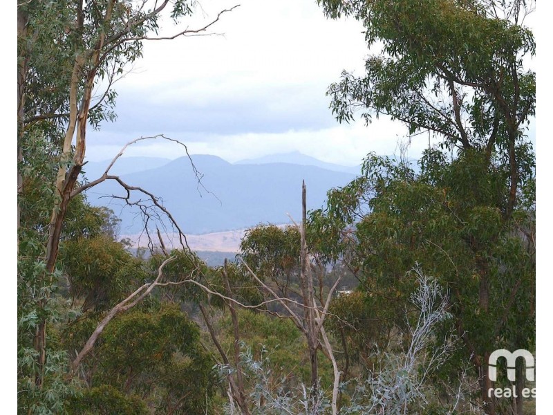181 Williams Lane, Dysart TAS 7030