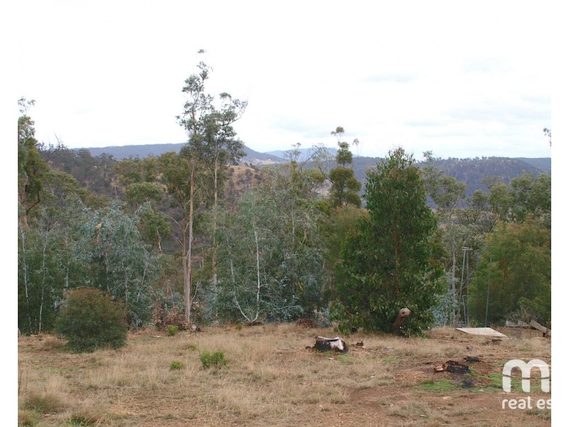 181 Williams Lane, Dysart TAS 7030