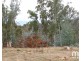 181 Williams Lane, Dysart TAS 7030