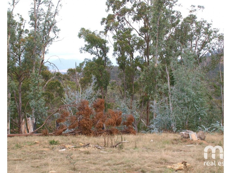 181 Williams Lane, Dysart TAS 7030