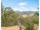 39 Hellessey Road, Collinsvale TAS 7012