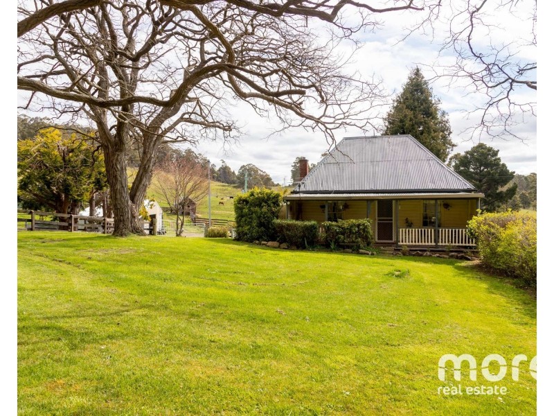 20 Feil Road, Mount Lloyd TAS 7140