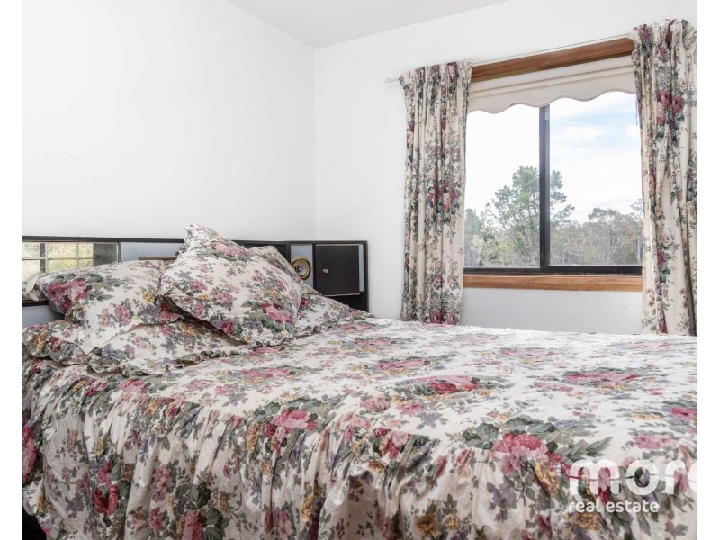 20 Feil Road, Mount Lloyd TAS 7140
