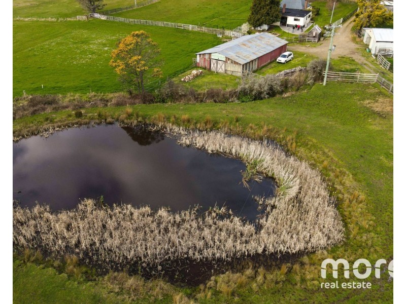 20 Feil Road, Mount Lloyd TAS 7140