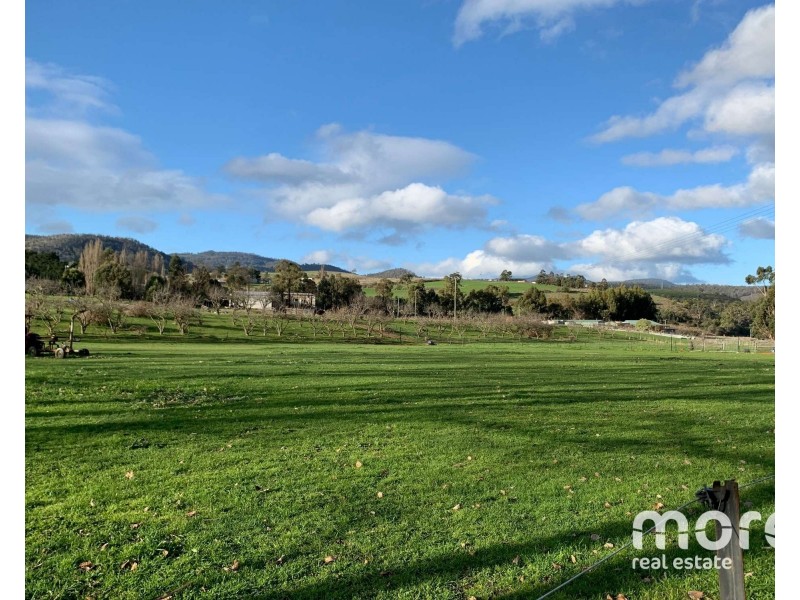 2203 Lyell Highway, Hayes TAS 7140
