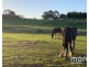 2203 Lyell Highway, Hayes TAS 7140