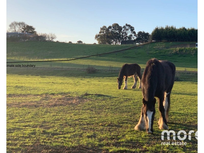 2203 Lyell Highway, Hayes TAS 7140