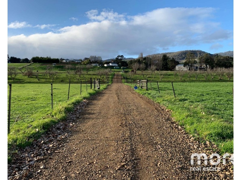 2203 Lyell Highway, Hayes TAS 7140
