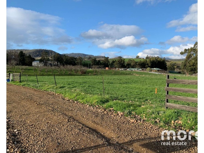 2203 Lyell Highway, Hayes TAS 7140