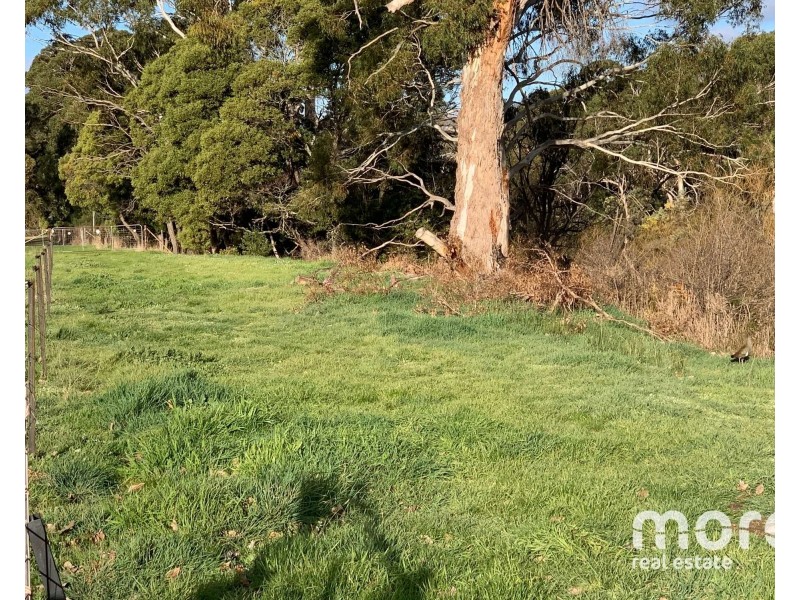 2203 Lyell Highway, Hayes TAS 7140