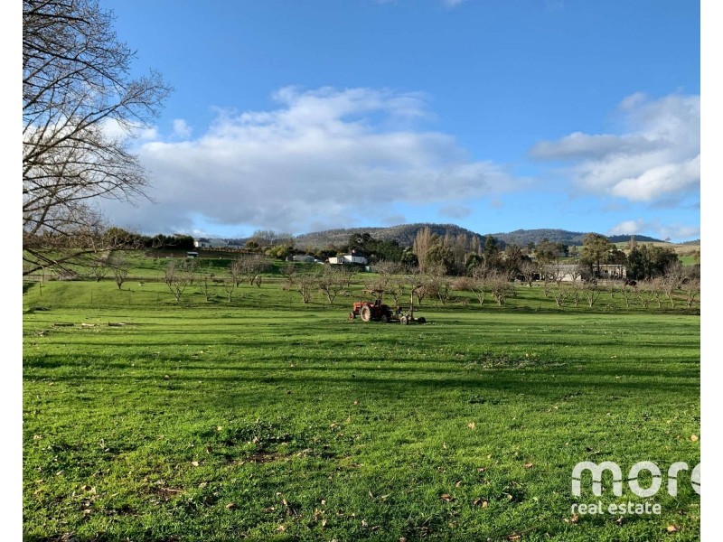 2203 Lyell Highway, Hayes TAS 7140
