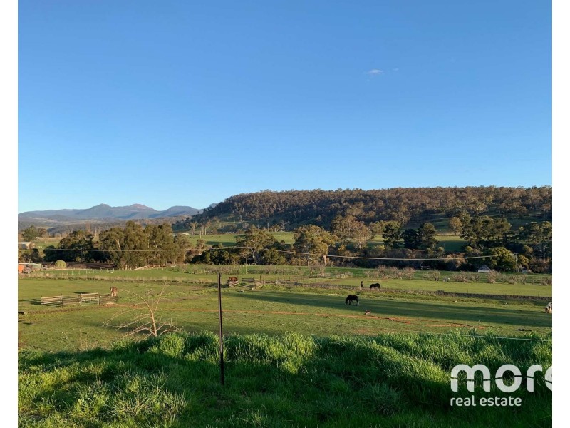 2203 Lyell Highway, Hayes TAS 7140