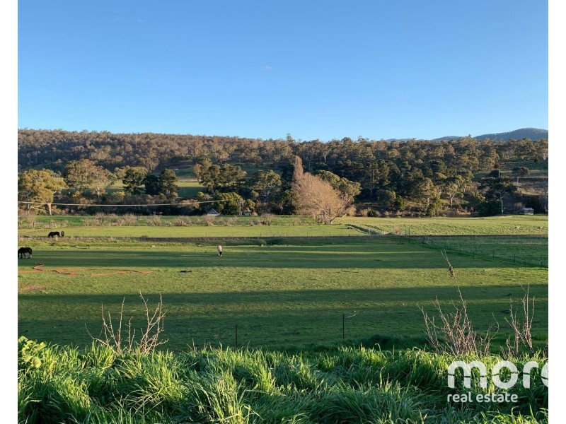 2203 Lyell Highway, Hayes TAS 7140