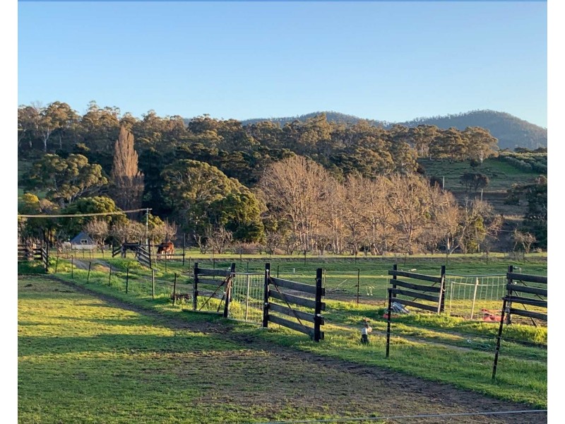 2203 Lyell Highway, Hayes TAS 7140