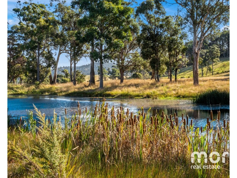2 Burdons Rd, Kellevie TAS 7176