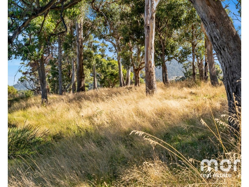 2 Burdons Rd, Kellevie TAS 7176