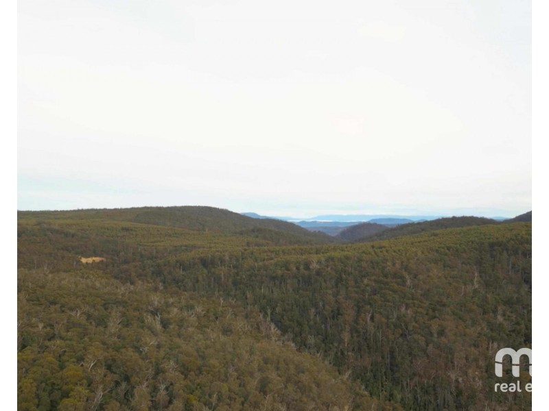 440 Springhill Bottom Road, Colebrook TAS 7027