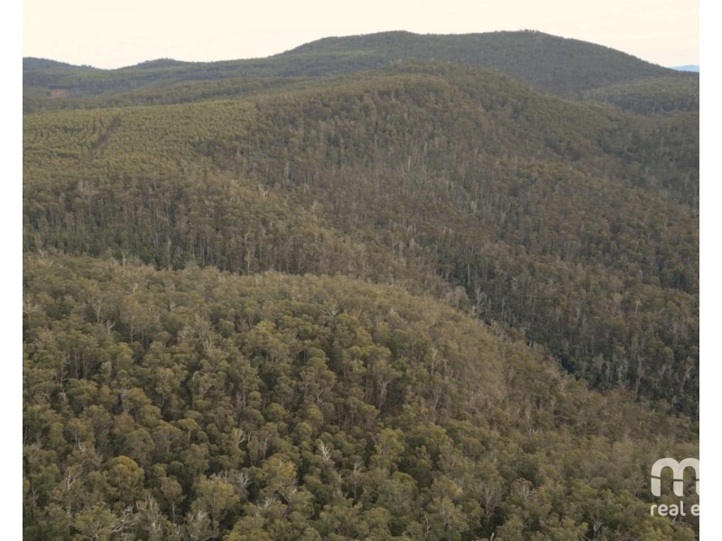 440 Springhill Bottom Road, Colebrook TAS 7027