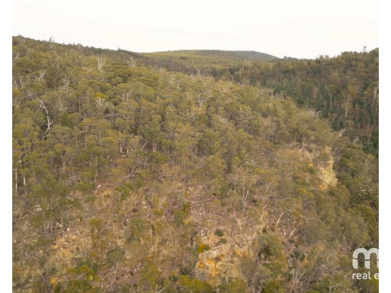 440 Springhill Bottom Road, Colebrook TAS 7027