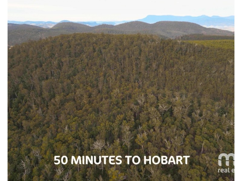 440 Springhill Bottom Road, Colebrook TAS 7027