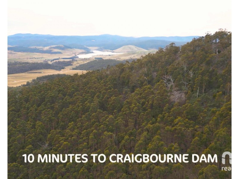 440 Springhill Bottom Road, Colebrook TAS 7027