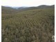 440 Springhill Bottom Road, Colebrook TAS 7027