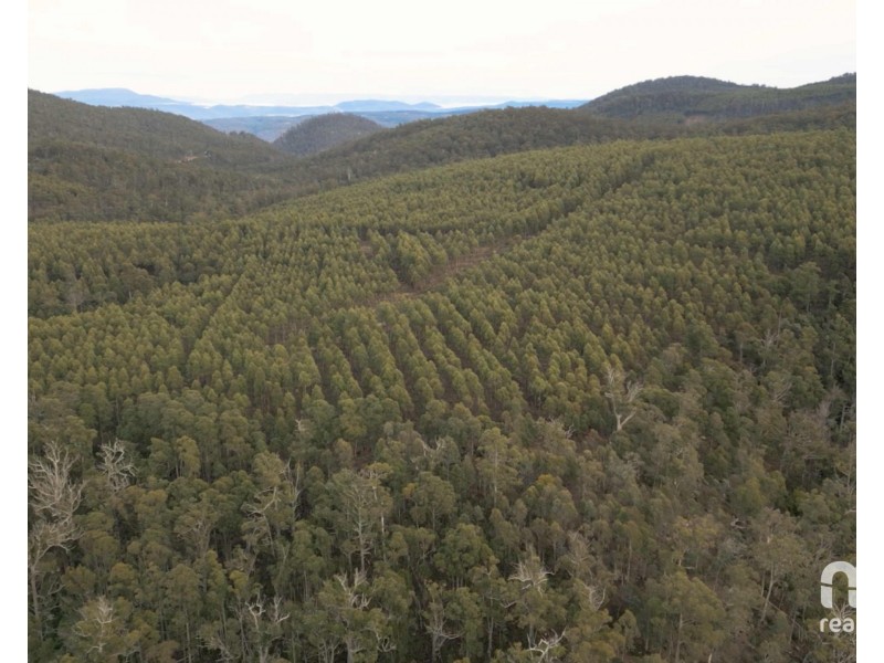 440 Springhill Bottom Road, Colebrook TAS 7027
