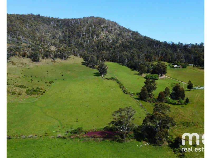 59 Hall Road, Fentonbury TAS 7140