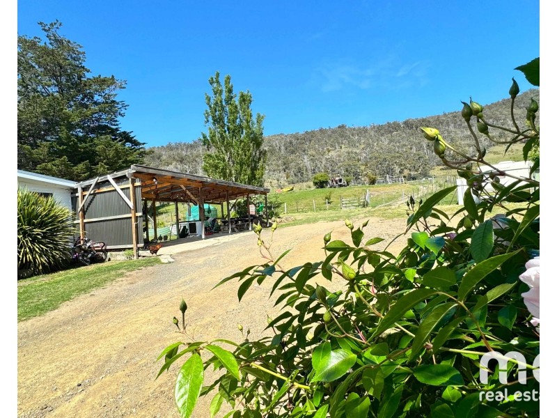 59 Hall Road, Fentonbury TAS 7140