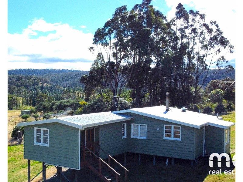 54 Gully Road, Fentonbury TAS 7140