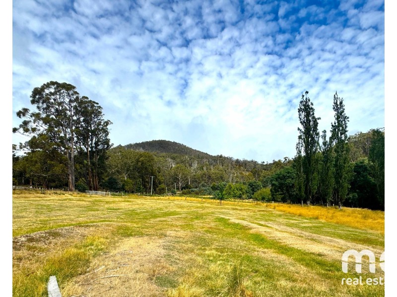 54 Gully Road, Fentonbury TAS 7140