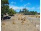 404 Molesworth Road, Molesworth TAS 7140