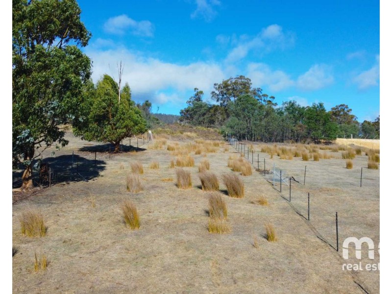 404 Molesworth Road, Molesworth TAS 7140