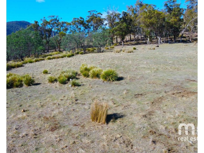 404 Molesworth Road, Molesworth TAS 7140