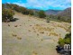 404 Molesworth Road, Molesworth TAS 7140