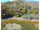 404 Molesworth Road, Molesworth TAS 7140