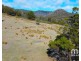 404 Molesworth Road, Molesworth TAS 7140
