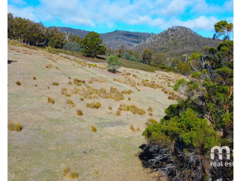 404 Molesworth Road, Molesworth TAS 7140